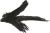 prcdent